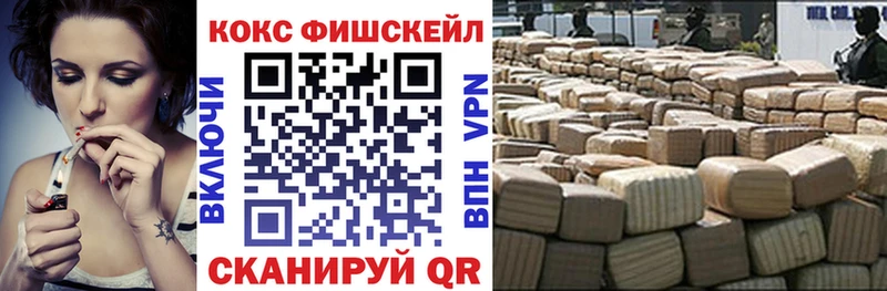 COCAIN FishScale  Купить закладки  Борзя 