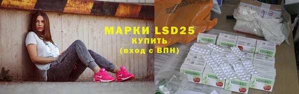 индика Коряжма
