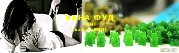 индика Коряжма