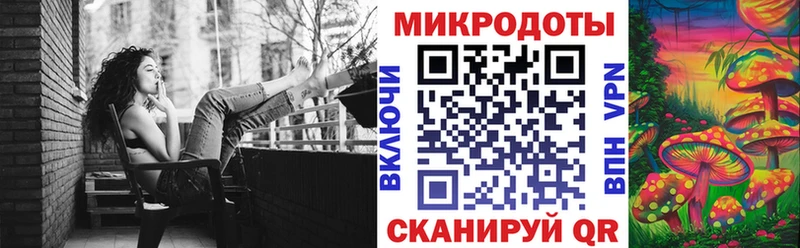 Купить закладки  Борзя  Псилоцибиновые грибы Psilocybe 